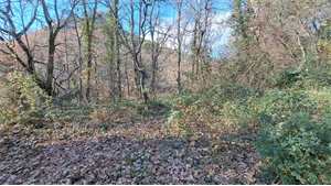 terrain à la vente -   84340  MALAUCENE, surface 1000 m2 vente terrain - APR600509